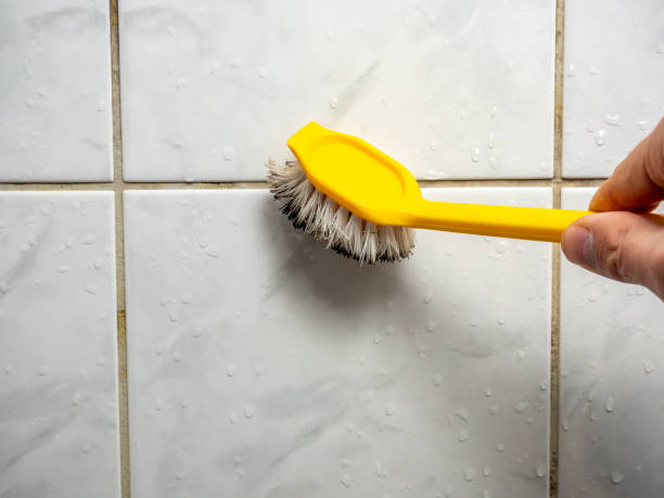 Best Black Mold Remediation in Lockwood, MO