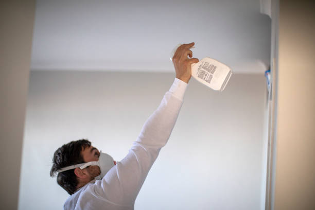 Best White Mold Remediation in Lockwood, MO